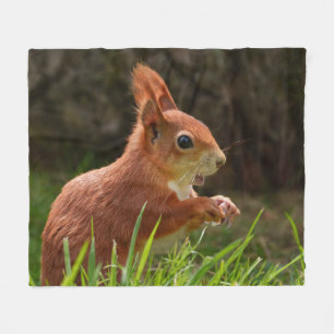 Cheerful Red Squirrel Fleece Blanket