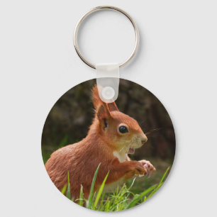 Cheerful Red Squirrel Key Ring