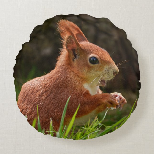 Cheerful Red Squirrel Round Cushion (Front)