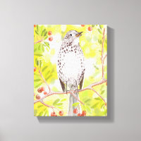Cheerful Song Thrush in spring yellows and greens