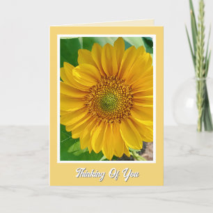 Cheerful Speedy Recovery Thinking of You Card