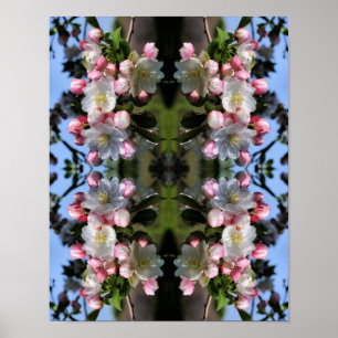 Cheerful Spring Crabapple Flower Blossoms Abstract Poster
