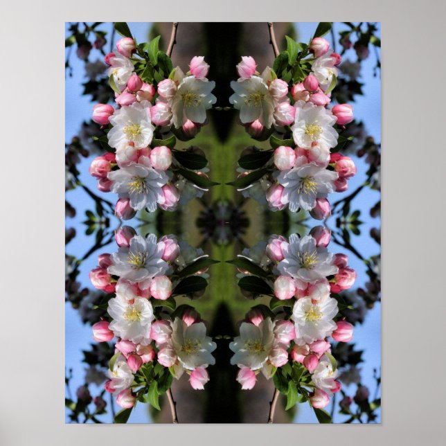 Cheerful Spring Crabapple Flower Blossoms Abstract Poster (Front)