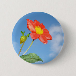 Cheerful Strawberry blossom 6 Cm Round Badge