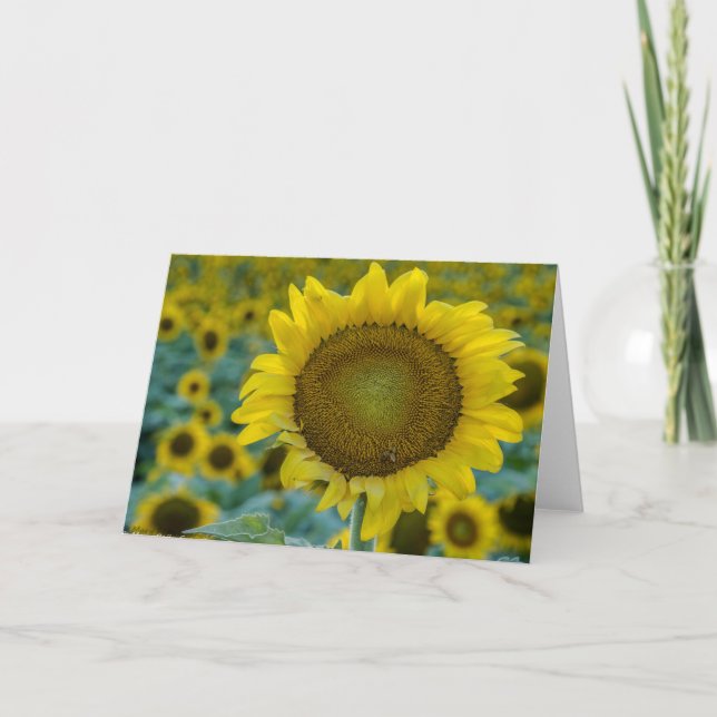 Cheerful Sunflowers Note Card (Front)
