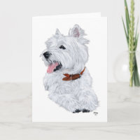 Cheerful West Highland White Terrier