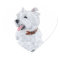 Cheerful West Highland White Terrier