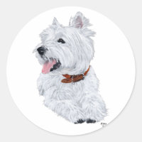 Cheerful West Highland White Terrier