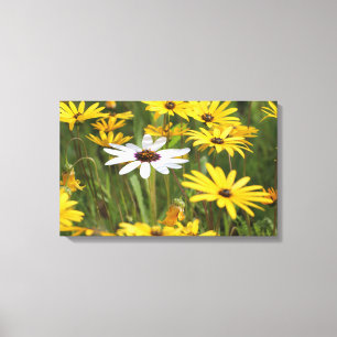 Cheerful yellow and white flowers canvas print