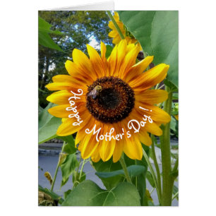 Cheerful Yellow Sunflower with Bee Mother's Day