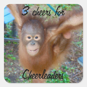 Cheering for Cheerleaders Square Sticker