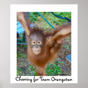 Cheerleader : Team Orangutan Poster