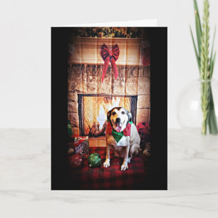CHEERS MERRY CHRISTMAS / HAPPY NEW YEAR HOLIDAY CARD