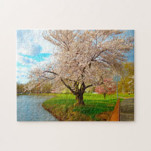 Cheery Blossom New Jersey. Jigsaw Puzzle