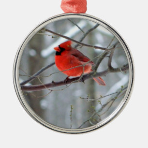 Cheery Cardinal Premium Ornament