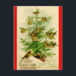 Cheery Christmas Greetings Vintage Postcard<br><div class="desc">This vintage design features an evergreen tree full happy robins carrying baskets of Christmas cheer. The text reads: Cheery Christmas Greeting.</div>