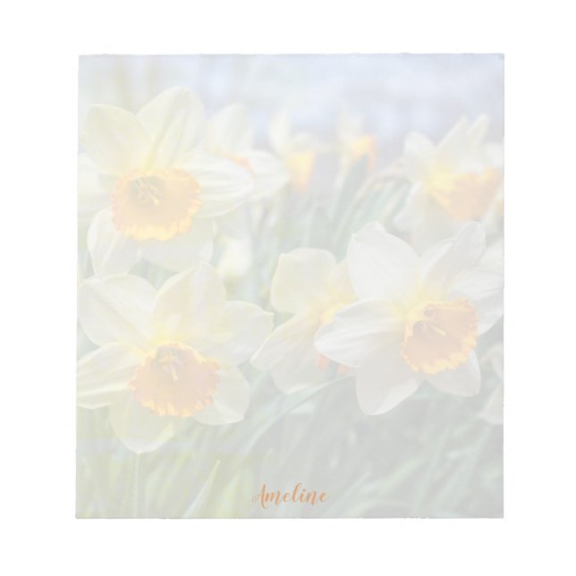 Cheery Daffodils Notepad (Front)