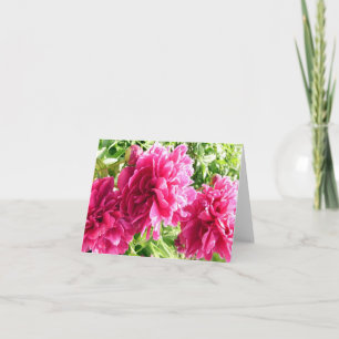 Cheery Peonies / Note Card