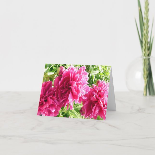 Cheery Peonies / Note Card (Front)