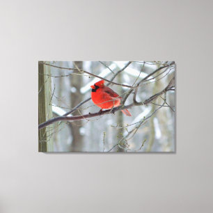 Cheery Red Cardinal Wrapped Canvas Print