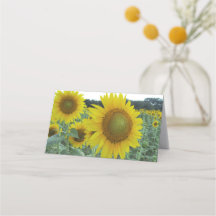 Cheery Sunflower Folded Note Cards