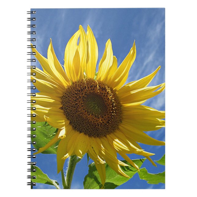 Cheery Sunflower Notebook (Front)