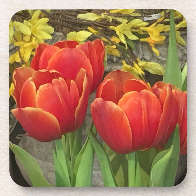 Cheery Tulips Coaster (Front)