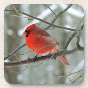 Cheery Winter Cardinal Cork Coaster