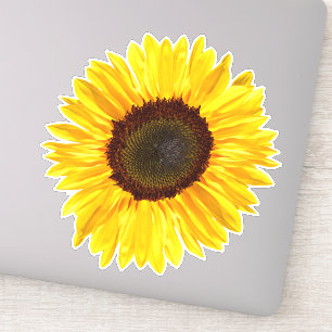 Cheery Yellow Sunflower