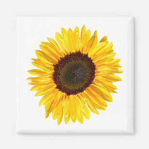 Cheery Yellow Sunflower Magnet