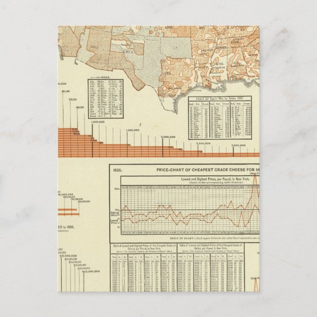 Cheese Postcard (Front)