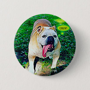 Cheese smiling bulldog with tongue out 6 cm round badge