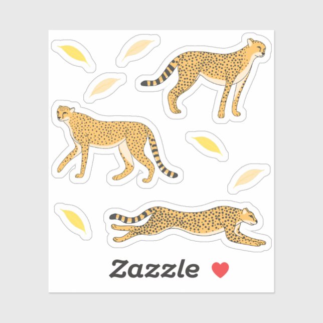Cheetah  (Sheet)