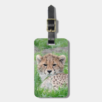 Cheetah20150904 Luggage Tag