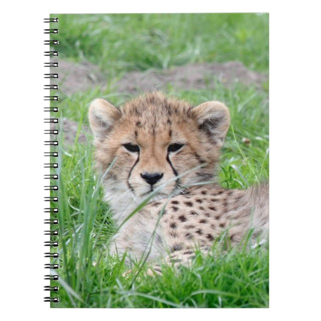 Cheetah20150904 Notebook (Front)