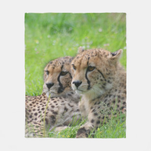 Cheetah 001 fleece blanket
