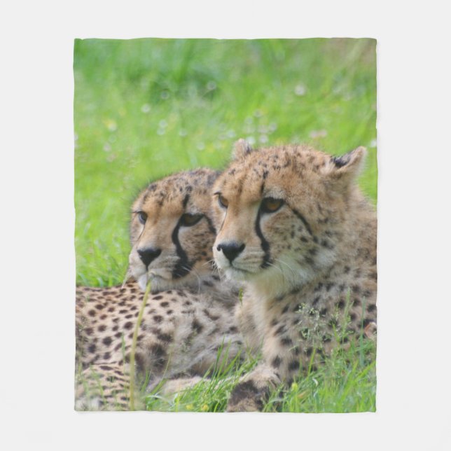 Cheetah 001 fleece blanket (Front)