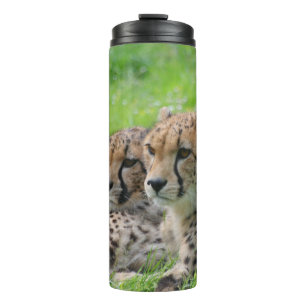 Cheetah 001 thermal tumbler