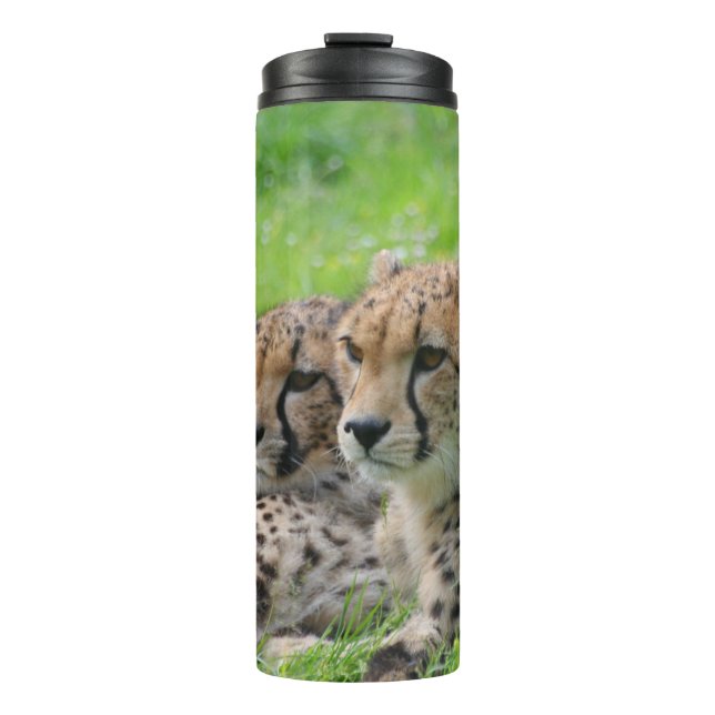 Cheetah 001 thermal tumbler (Front)