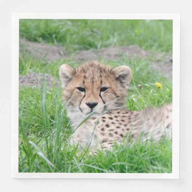 Cheetah 002 napkin (Front)