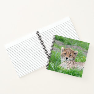 Cheetah 002 notebook