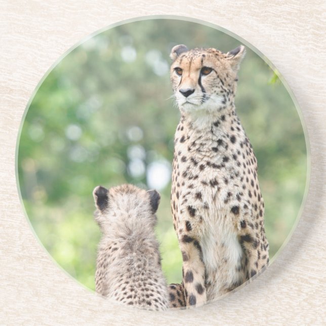 Cheetah 004 coaster (Front)