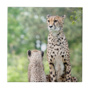 Cheetah 004 tile