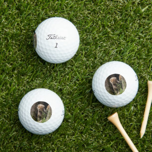 Cheetah 005 golf balls
