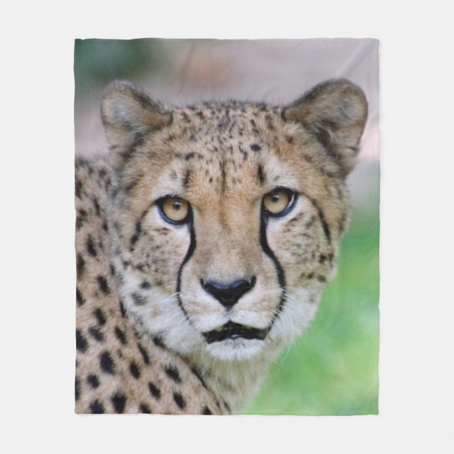 Cheetah 009 fleece blanket (Front)