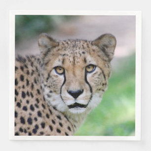 Cheetah 009 napkin