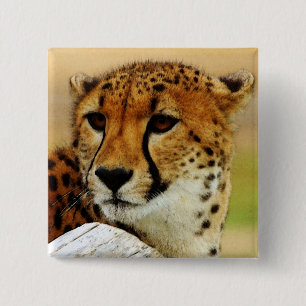 Cheetah 15 Cm Square Badge