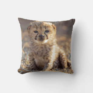 Cheetah 19 days old male cub cushion