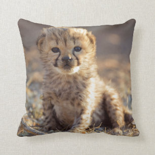 Cheetah 19 days old male cub cushion
