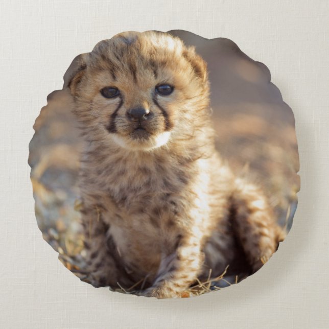 Cheetah 19 days old male cub round cushion (Front)